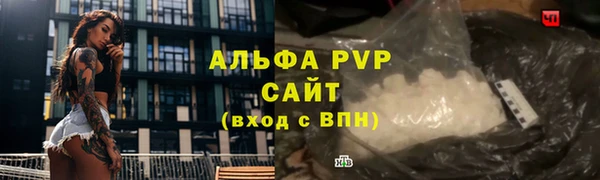 spice Аркадак